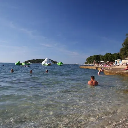 Prázdninový dům In With Swimming Pool *